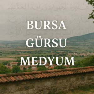 Bursa Gürsu Medyum
