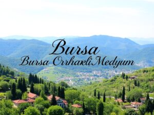 Bursa Orhaneli Medyum